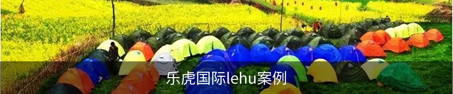 乐虎国际lehu案例